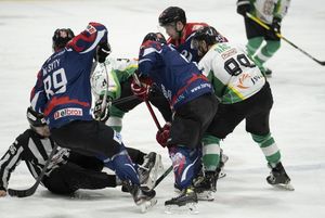 Walka o krążek przy buliku.