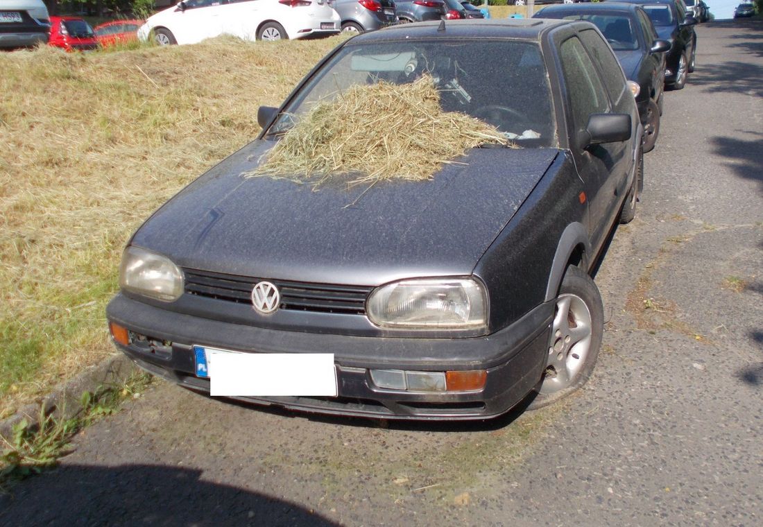 Zdjęcie przedstawia wrak.