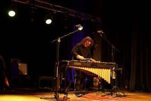 Koncert Irka Głyka - muzyk gra na wibrafonie