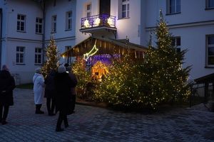 Zdjęcie przedstawia Orszak Trzech Króli.