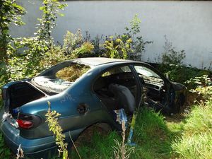 straż miejska usuwa wraki