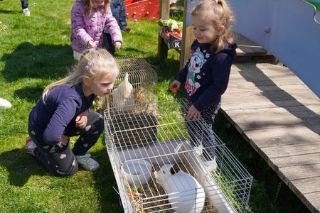 Dzieci oglądające królika i kurę