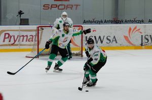 Hokeiści podczas meczu