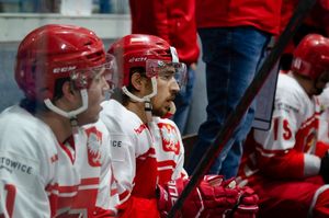 Hokeiści podczas meczu