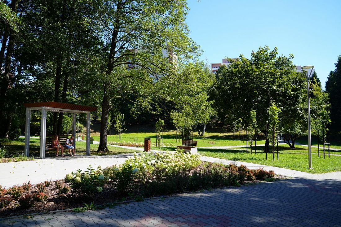 ogród czytelnika za biblioteką
