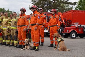 strażacy z grupy ratowniczej z psami