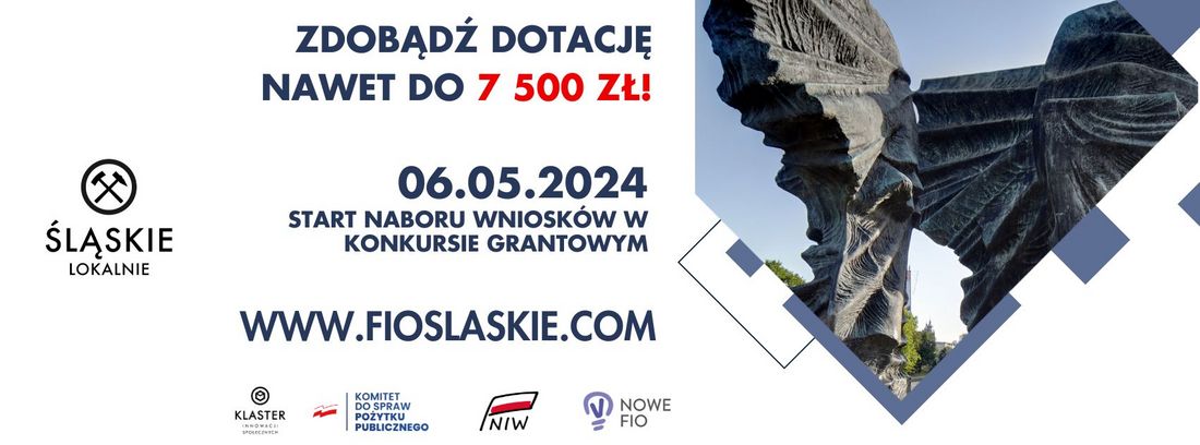 Grafika przedstawia informacje o projekcie "Śląskie lokalnie"