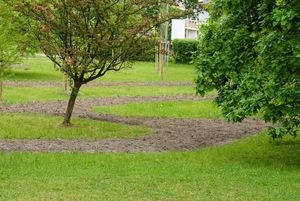 Świeżo przygotowane nasadzenia