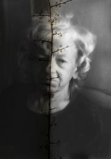 Fotografia artystki - twarz starszej kobiety z podzielona gałazka na pół - jedna połowa jasna, druga ciemna
