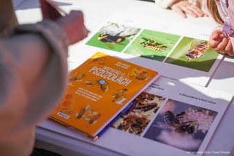 Książeczki o pszczołach