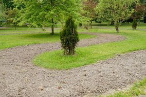 Świeżo przygotowane nasadzenia