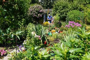 rodzinne ogródki działkowe