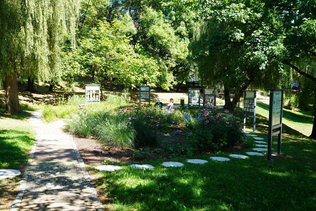 skwer z alejkami, tablicami i roślinnością