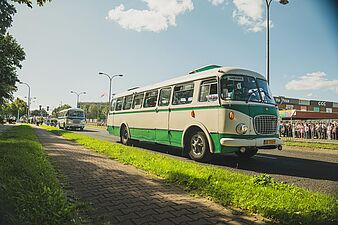 ogórek podczas parady