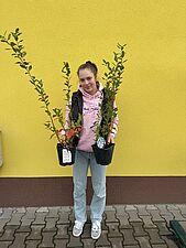 akcja wydawania sadzonek