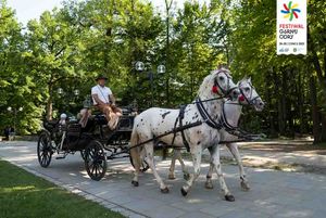 Bryczka zaprzężona w dwa konie na alejce w Parku.