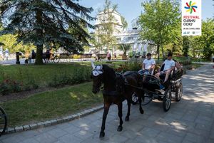 Bryczka na alejce w Parku.