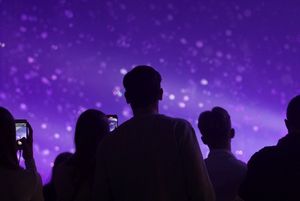 ludzie bawiący się na koncercie sanah