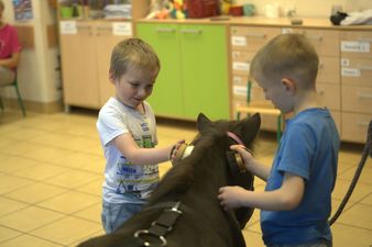 dwa chłopcy szczotkują kucyka
