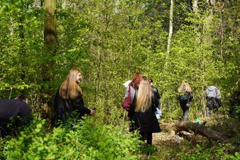 Studentki idące ścieżką między drzewami