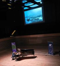 Pianista, a nad nim wyświetlone zdjęcie 