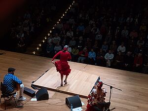 Popis tancerki flamenco