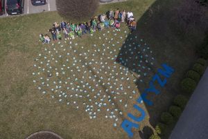 Widok pola żonkili z drona