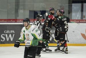 Radość tyszan po bramce.