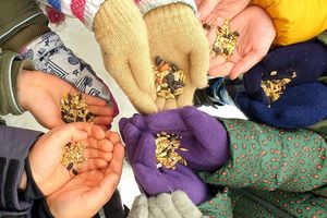 dzieci dokarmiają ptaki