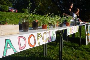 Stoisko z napisem adopcja roślin