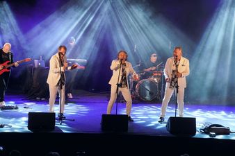 Trójka muzyków zespołu vox na scenie