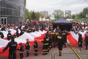 Zdjęcie przedstawia marsz w Dniu Flagi.