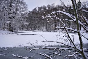 Zamarznięty staw na OWN-ie