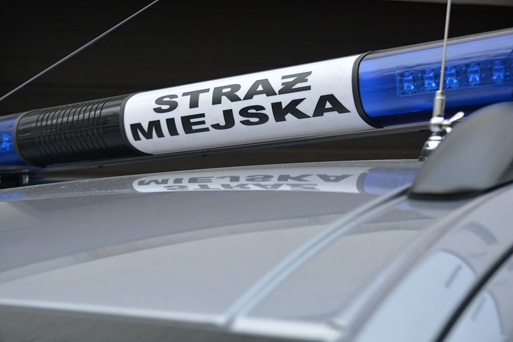 Zdjęcie: Kogut na dachu samochodu Straży Miejskiej.