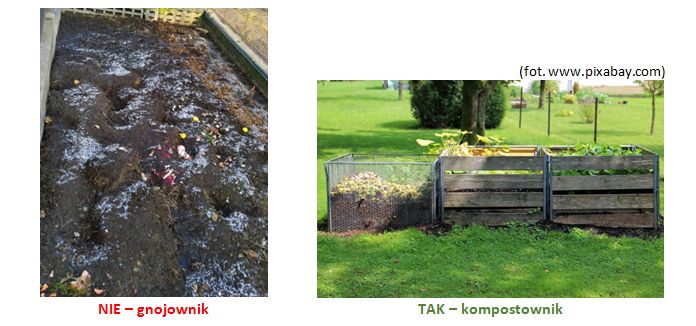 Kompostujący bioodpady będą płacić mniej Porównanie graficzne gnojownika i kompostownika