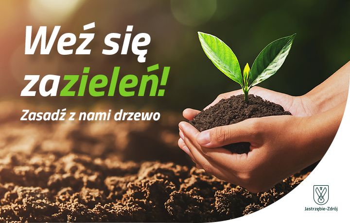 Plakat z napisem "weź się zazieleń" i grafiką sadzonki