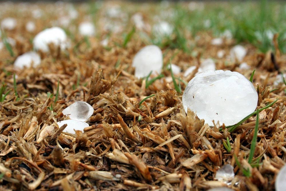 Zdjęcie przedstawia grad na trawie.