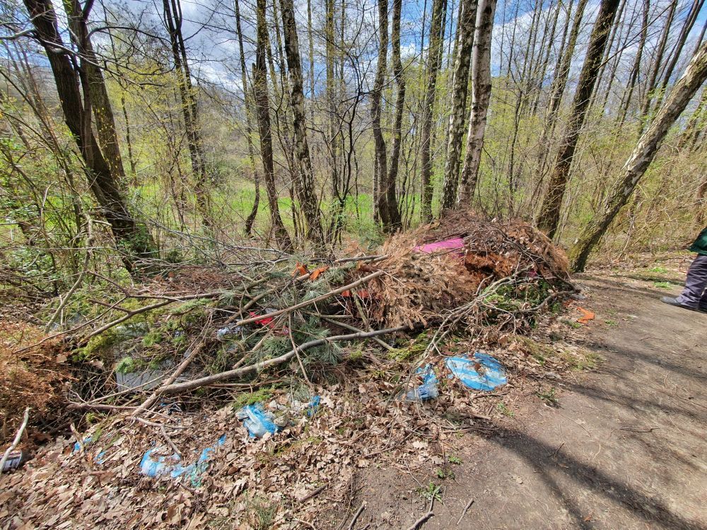 Zdjęcie śmieci porzuconych w jarze