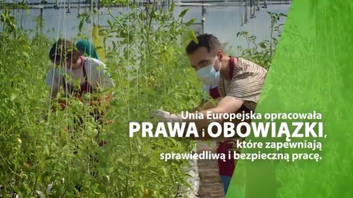 plakat dot. bezpieczeństwa pracy sezonowej