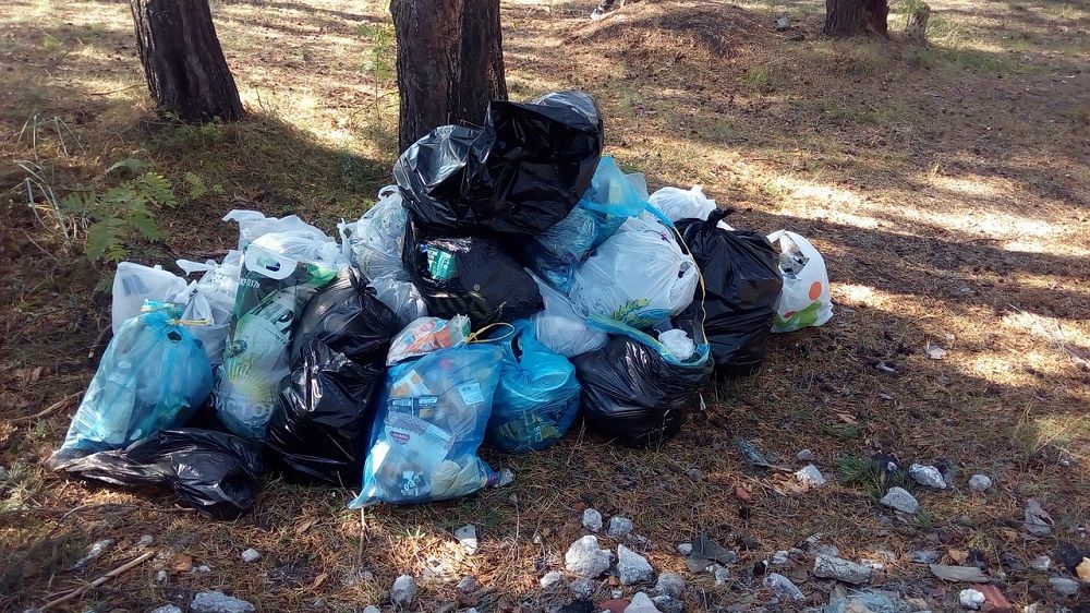 śmieci w workach leżące w lesie