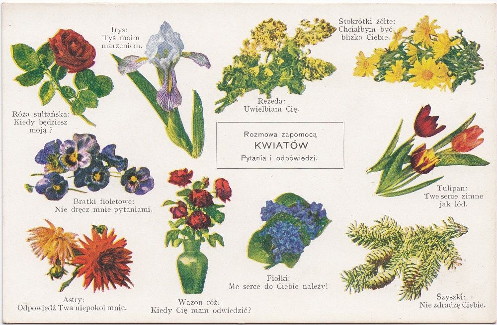 Pocztówki miłosne w "Ciasnej"