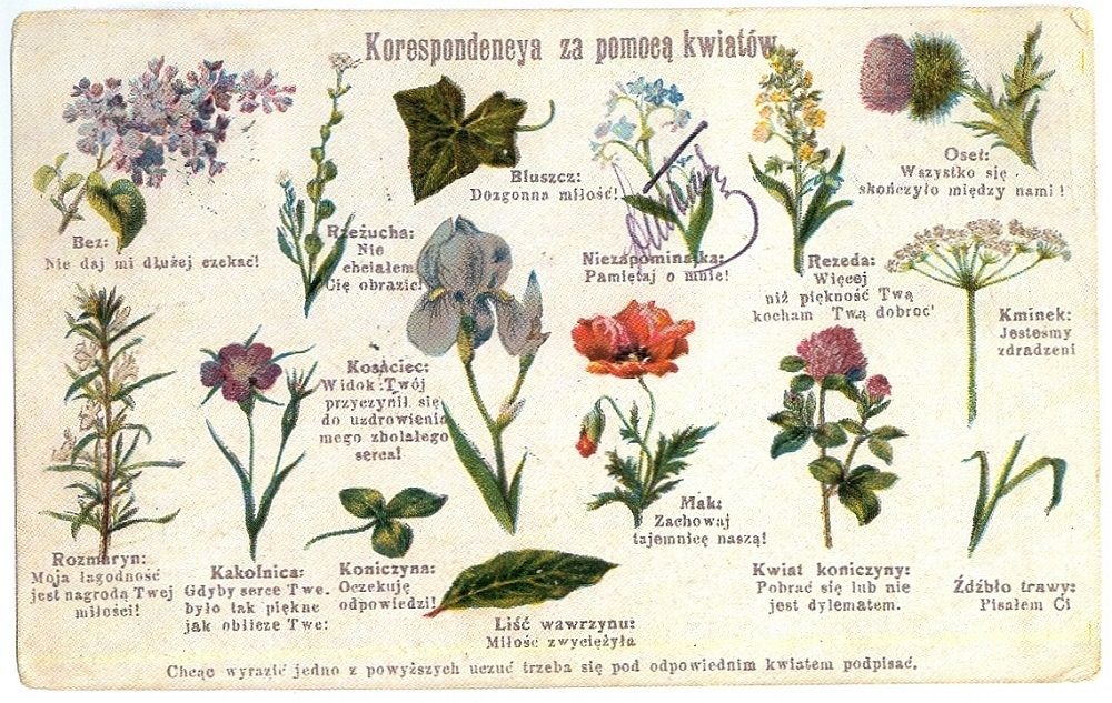 Pocztówki miłosne w "Ciasnej"