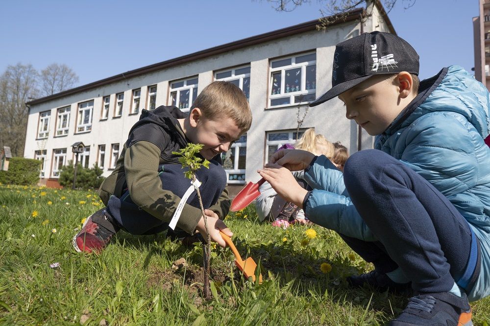 dzieci sadzą rośliny
