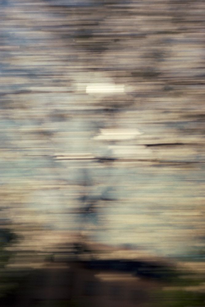 Zdjęcie przedstawia roślinność, panoramowanie.