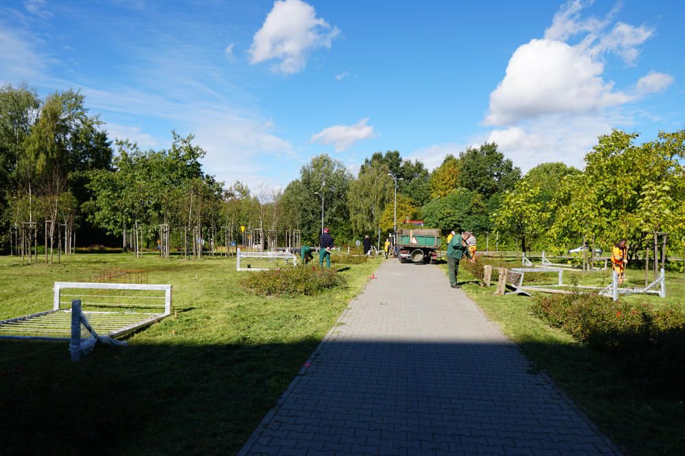 Pracownicy porządkują park w słoneczny dzień.