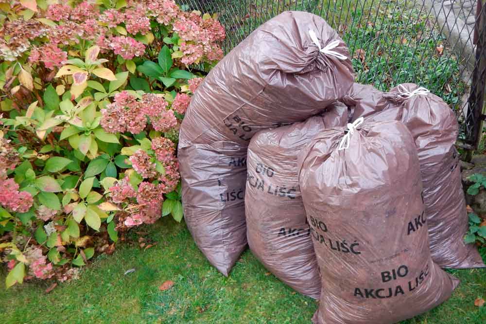 Zdjęcie przedstawia worki pełne liści.