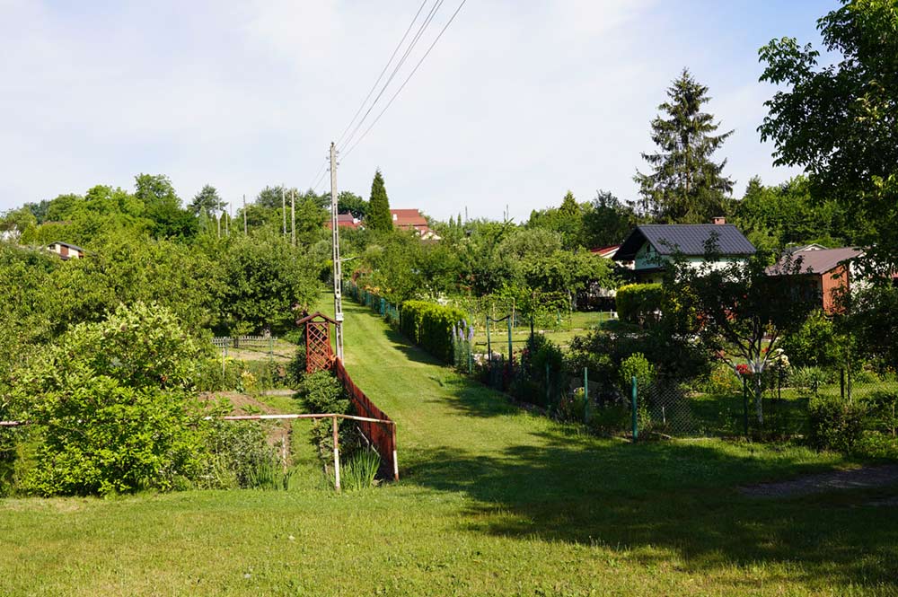 Widok na ogrody działkowe z alejki.
