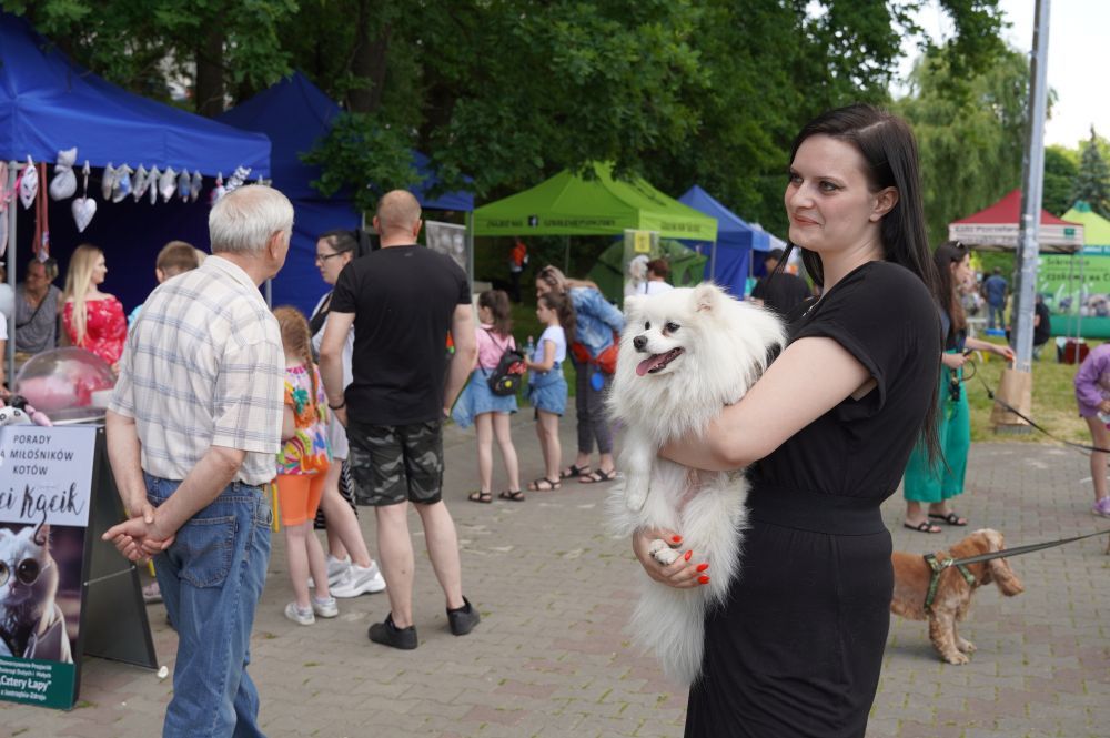 Zdjęcie przedstawia Dzień Zwierzaka w Jarze Południowym.
