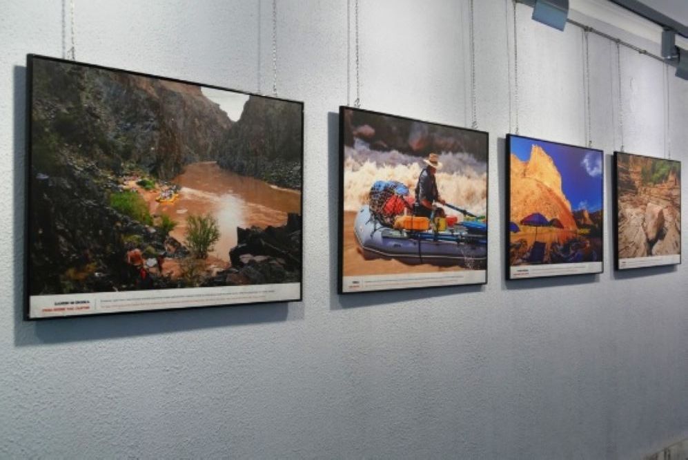 wystawa fotografi