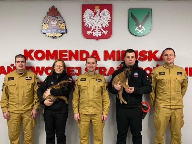 Zdjęcie przedstawia strażaków z psami służbowymi.